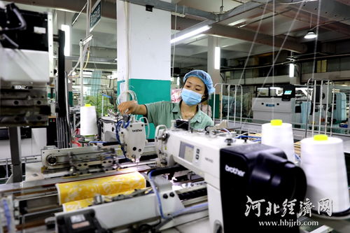 衡水新聞網